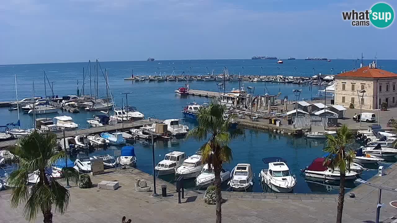 Luka Kopar uživo web kamera – Turistički terminal i teretna luka – Slovenija