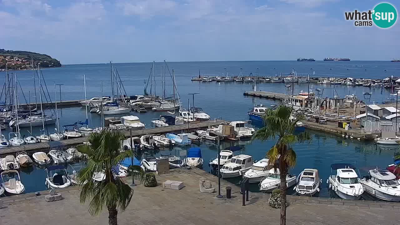 Camera en vivo Koper – puerto deportivo y paseo marítimo desde el Hotel Grand Koper