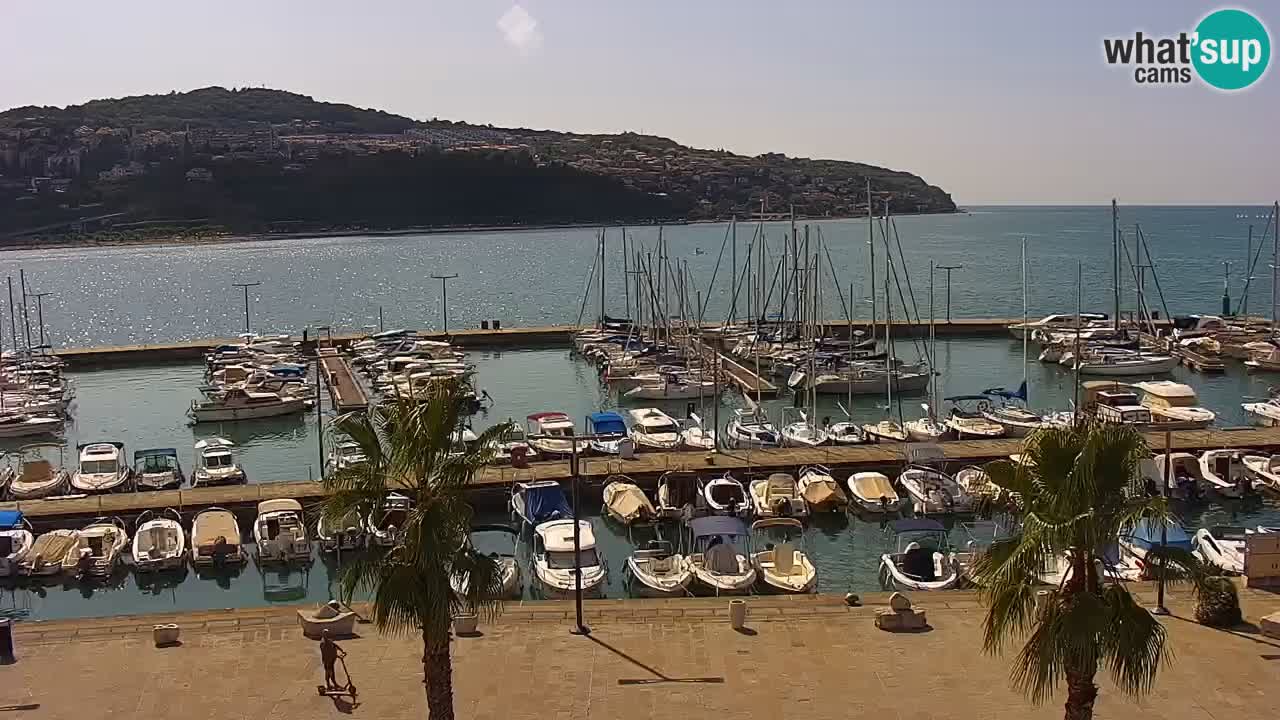 Spletna kamera Koper – Panorama na marino in promenado s Hotela Grand Koper