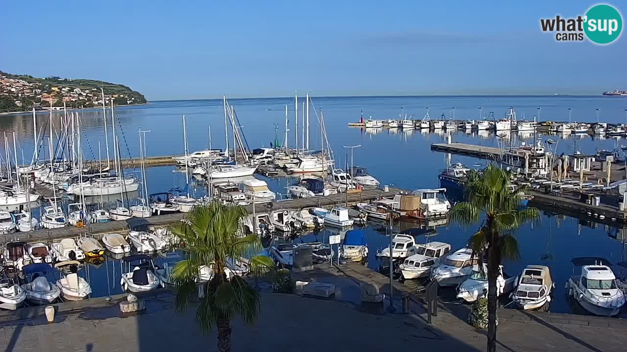 Spletna kamera Koper – Panorama na marino in promenado s Hotela Grand Koper