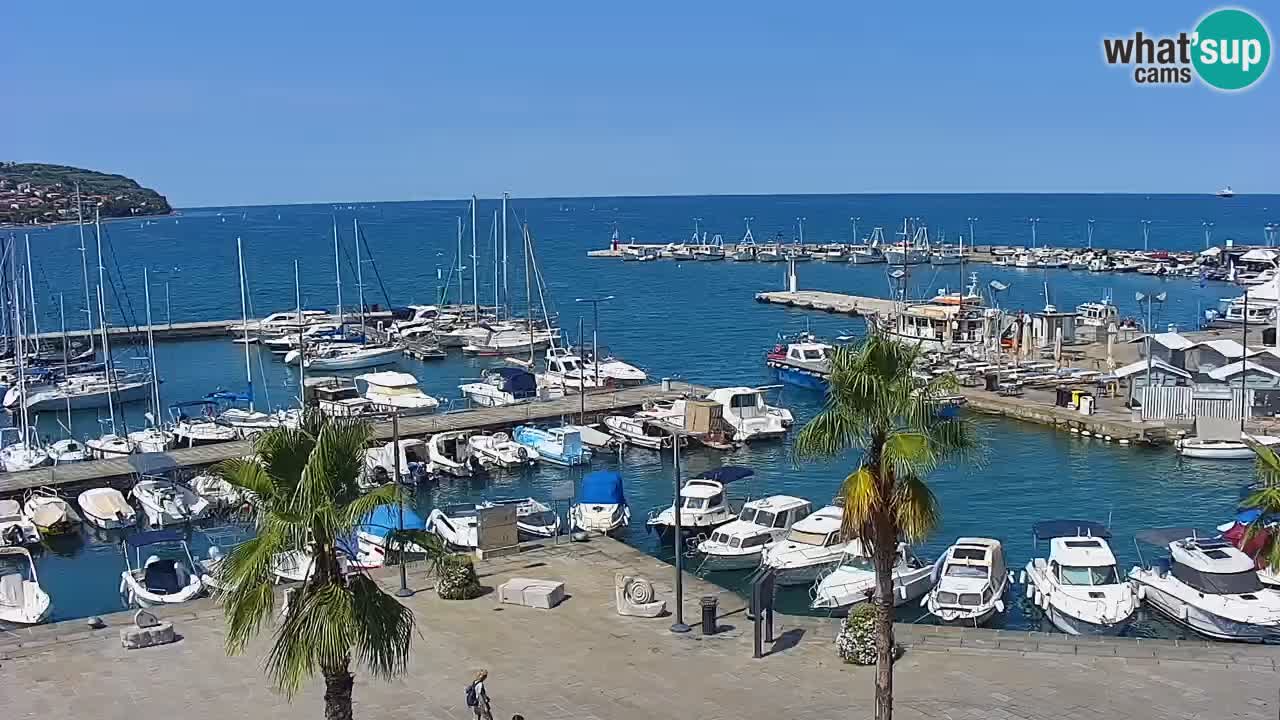 Web kamera Koper – marina i promenada – hotel Grand Koper