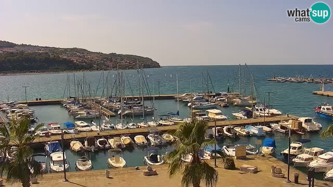 Web kamera Koper – marina i promenada – hotel Grand Koper