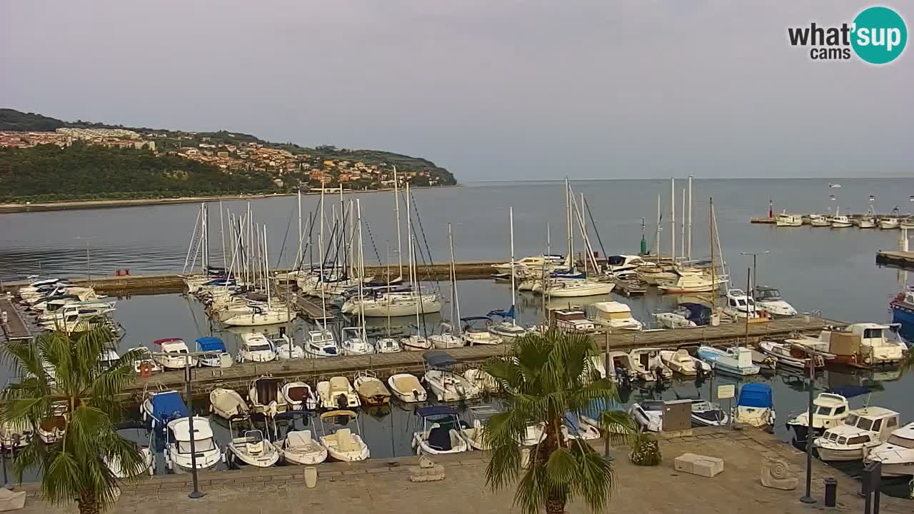 Webcam Koper – Panorama de la marina et de la promenade depuis le Grand Hotel Koper