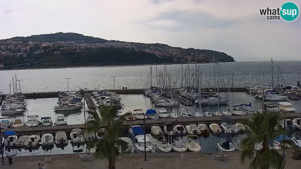 Spletna kamera Koper – Panorama na marino in promenado s Hotela Grand Koper