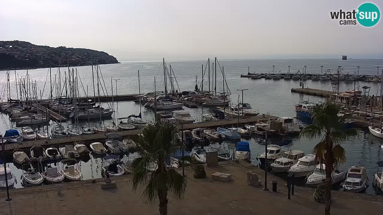 Webcam Koper – Panorama of the marina and promenade from the Grand Hotel Koper