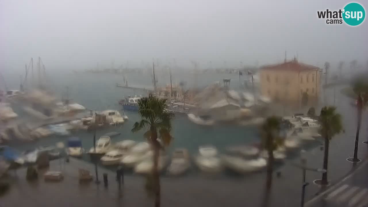 Spletna kamera Koper – Panorama na marino in promenado s Hotela Grand Koper