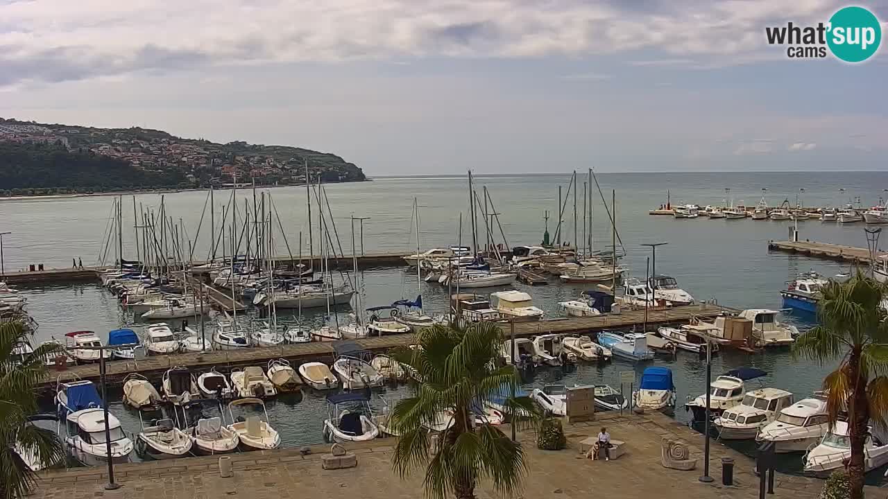 Webcam Koper – Panorama of the marina and promenade from the Grand Hotel Koper