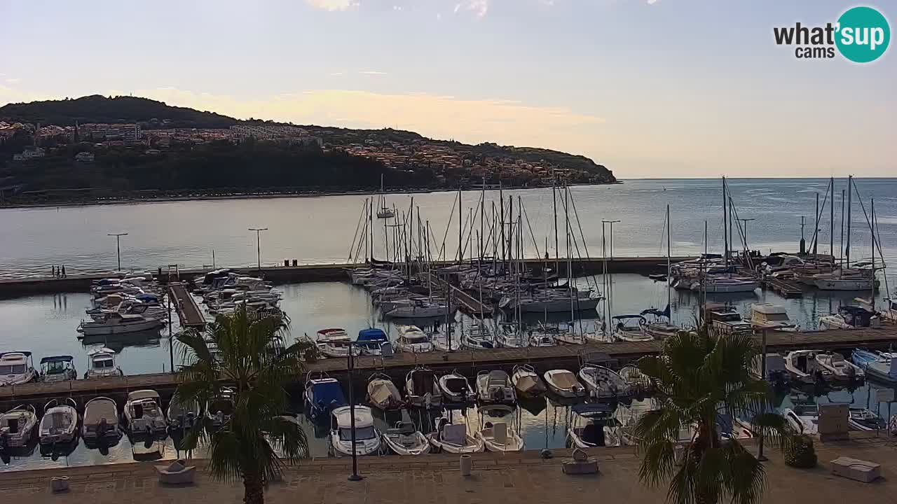 Camera en vivo Koper – puerto deportivo y paseo marítimo desde el Hotel Grand Koper