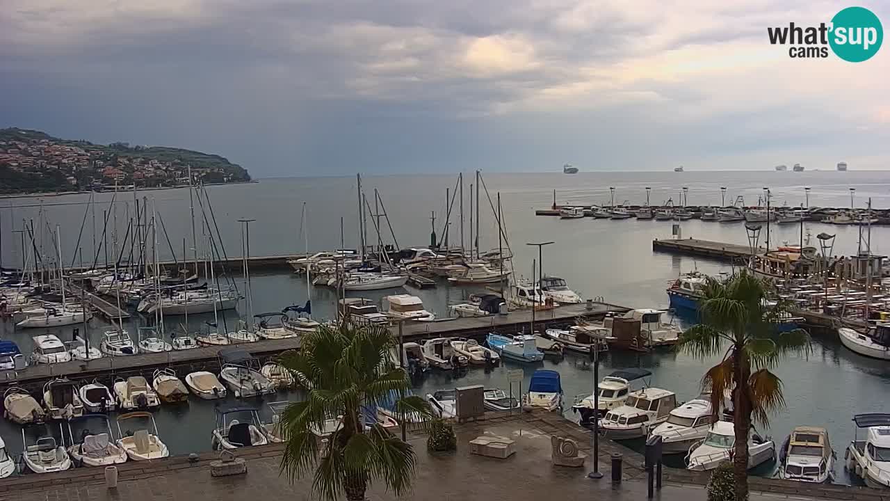 Webcam Koper – Panorama of the marina and promenade from the Grand Hotel Koper