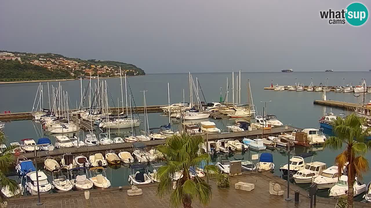 Web kamera Koper – marina i promenada – hotel Grand Koper