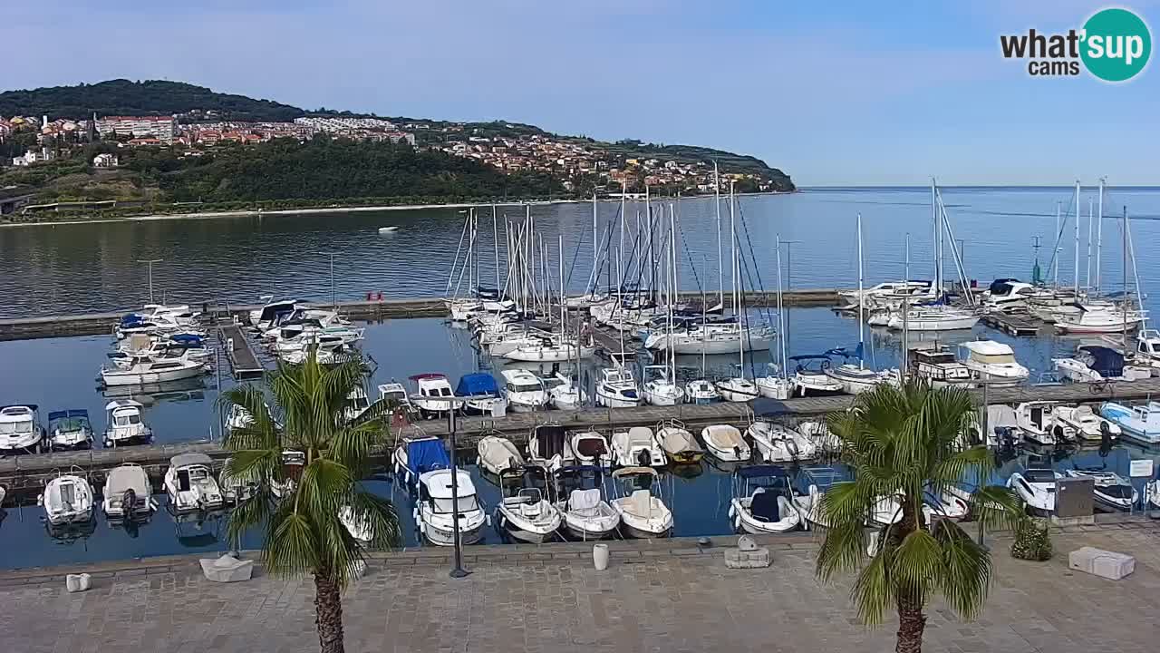 Webcam Koper – Panorama of the marina and promenade from the Grand Hotel Koper