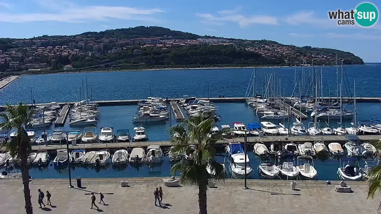 Web kamera Koper – marina i promenada – hotel Grand Koper