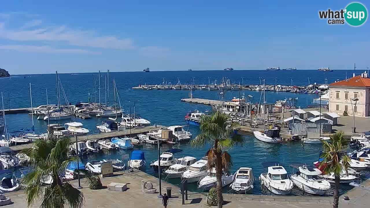 Web kamera Koper – marina i promenada – hotel Grand Koper
