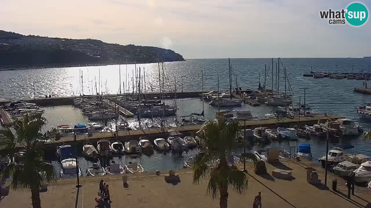 Webcam Koper – Panorama de la marina et de la promenade depuis le Grand Hotel Koper