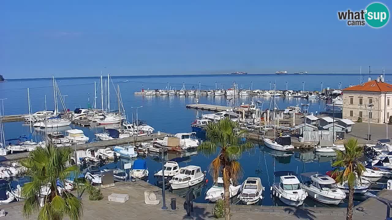Web kamera Koper – marina i promenada – hotel Grand Koper