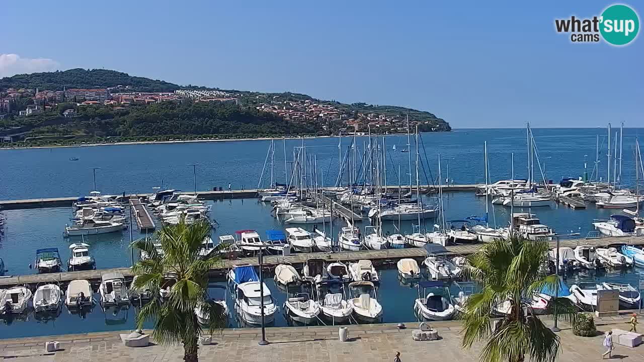 Web kamera Koper – marina i promenada – hotel Grand Koper