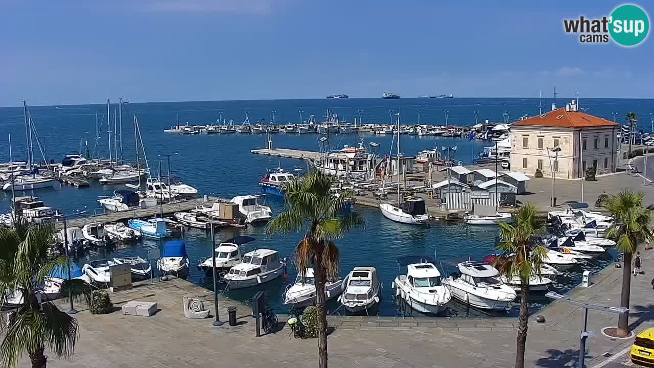 Web kamera Koper – marina i promenada – hotel Grand Koper