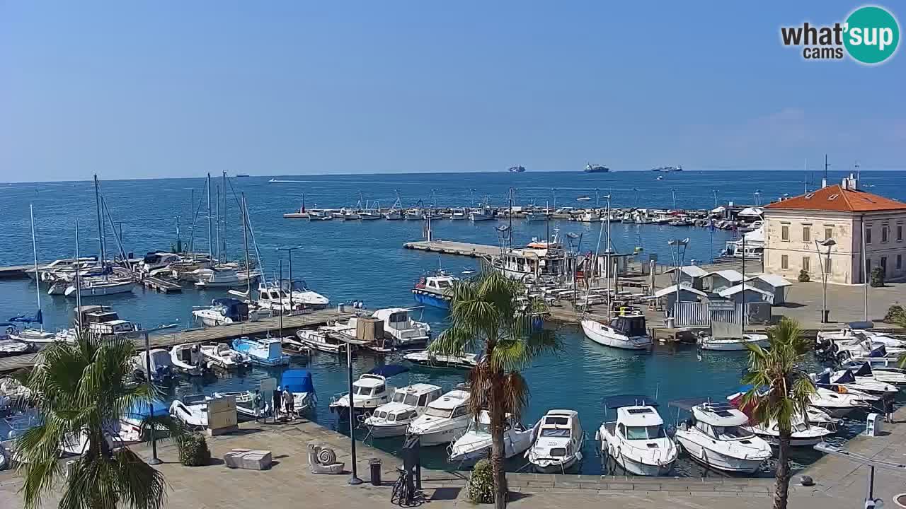 Webcam Koper – Panorama des Jachthafens und der Promenade vom Hotel Grand Koper