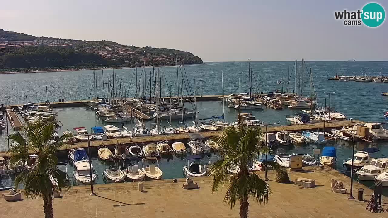 Webcam Koper – Panorama of the marina and promenade from the Grand Hotel Koper