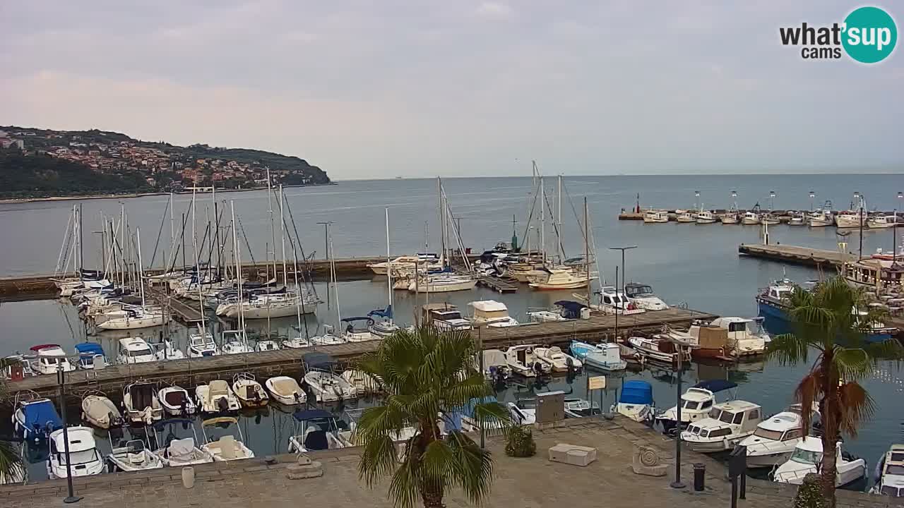 Camera en vivo Koper – puerto deportivo y paseo marítimo desde el Hotel Grand Koper