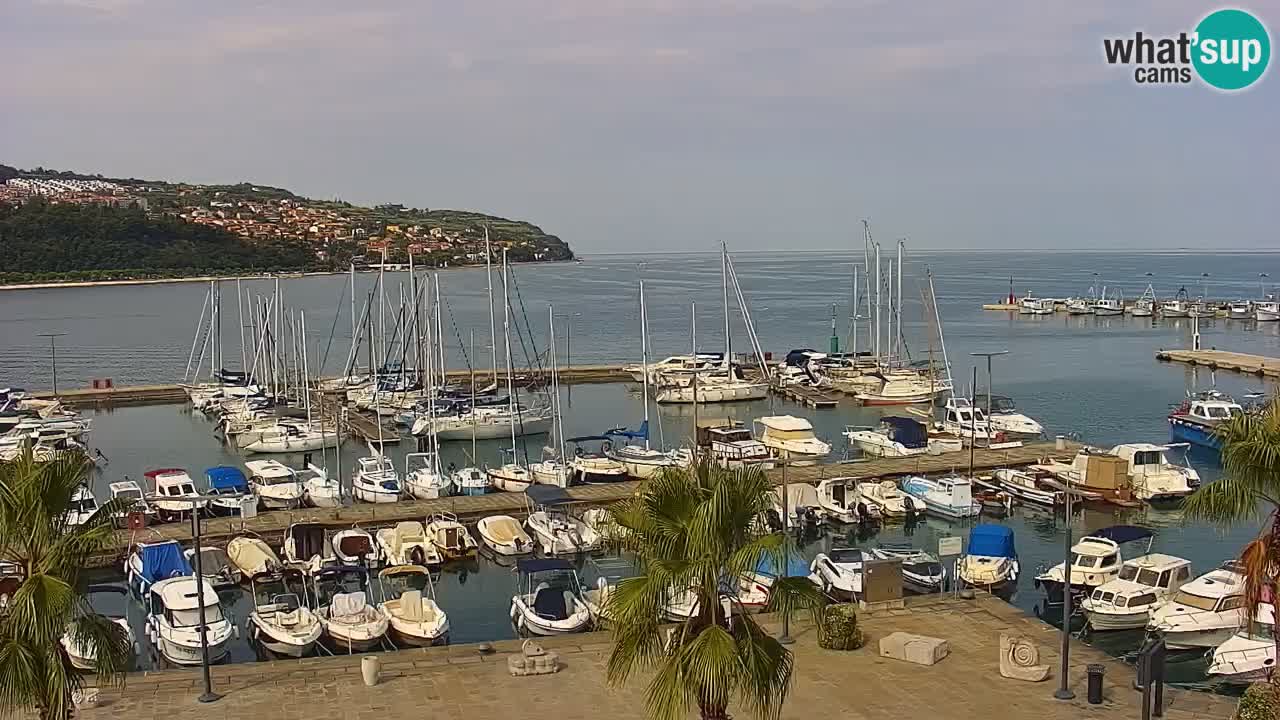 Camera en vivo Koper – puerto deportivo y paseo marítimo desde el Hotel Grand Koper