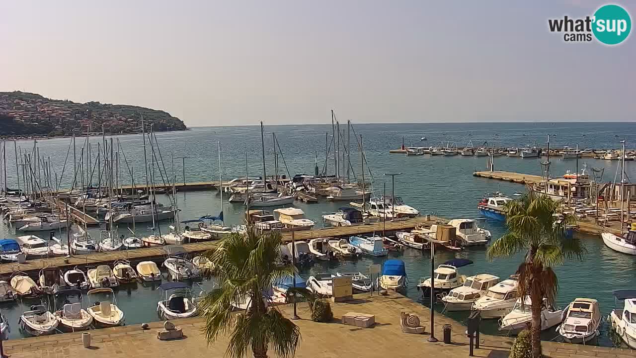 Camera en vivo Koper – puerto deportivo y paseo marítimo desde el Hotel Grand Koper