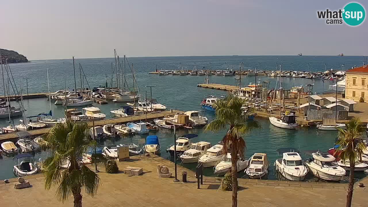 Web kamera Koper – marina i promenada – hotel Grand Koper