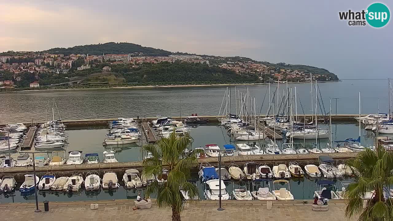 Camera en vivo Koper – puerto deportivo y paseo marítimo desde el Hotel Grand Koper