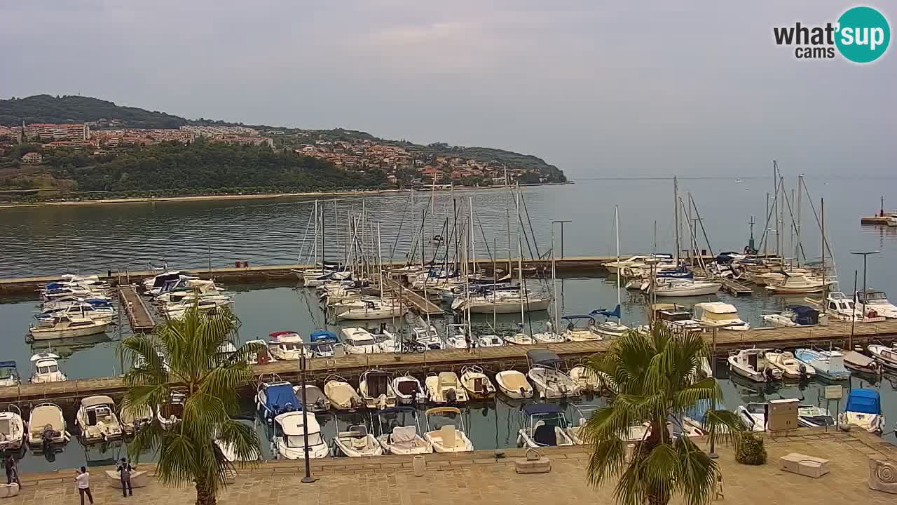 Webcam Capodistria – marina e lungo mare dall’Hotel Grand Koper