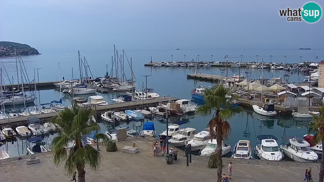 Camera en vivo Koper – puerto deportivo y paseo marítimo desde el Hotel Grand Koper