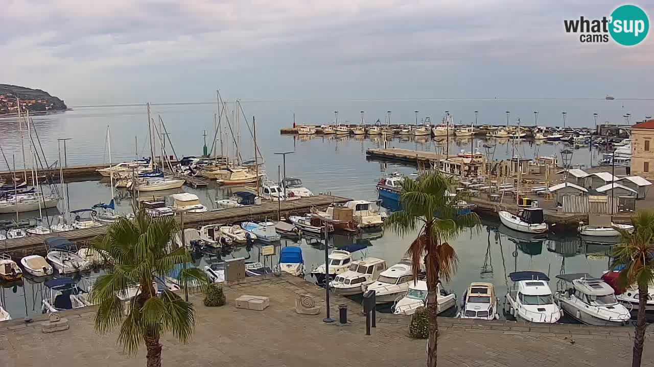 Camera en vivo Koper – puerto deportivo y paseo marítimo desde el Hotel Grand Koper