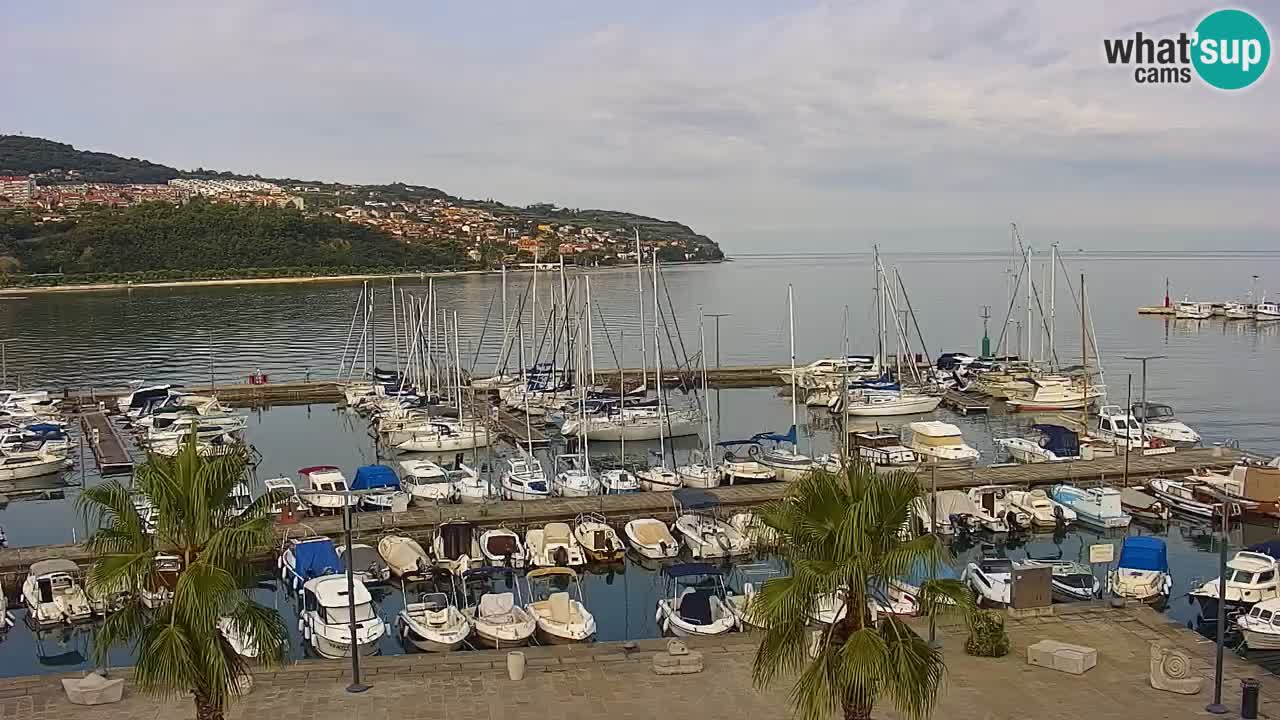 Spletna kamera Koper – Panorama na marino in promenado s Hotela Grand Koper