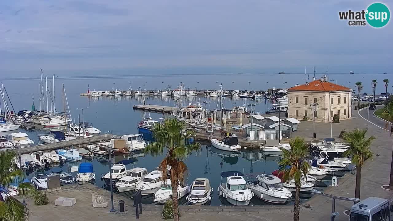 Camera en vivo Koper – puerto deportivo y paseo marítimo desde el Hotel Grand Koper