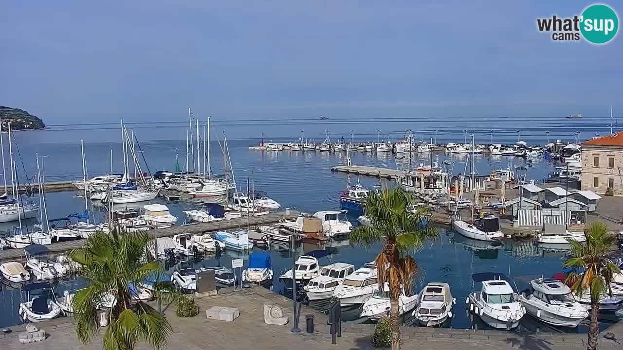 Webcam Koper – Panorama of the marina and promenade from the Grand Hotel Koper