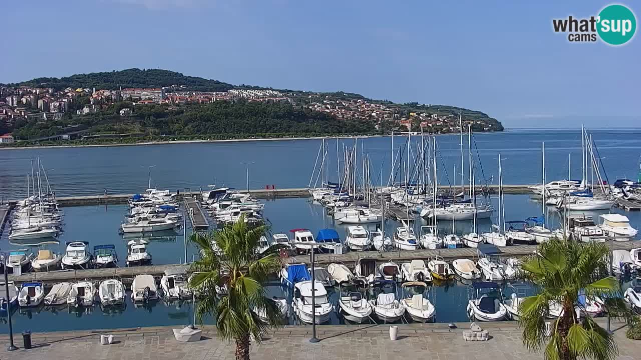 Spletna kamera Koper – Panorama na marino in promenado s Hotela Grand Koper