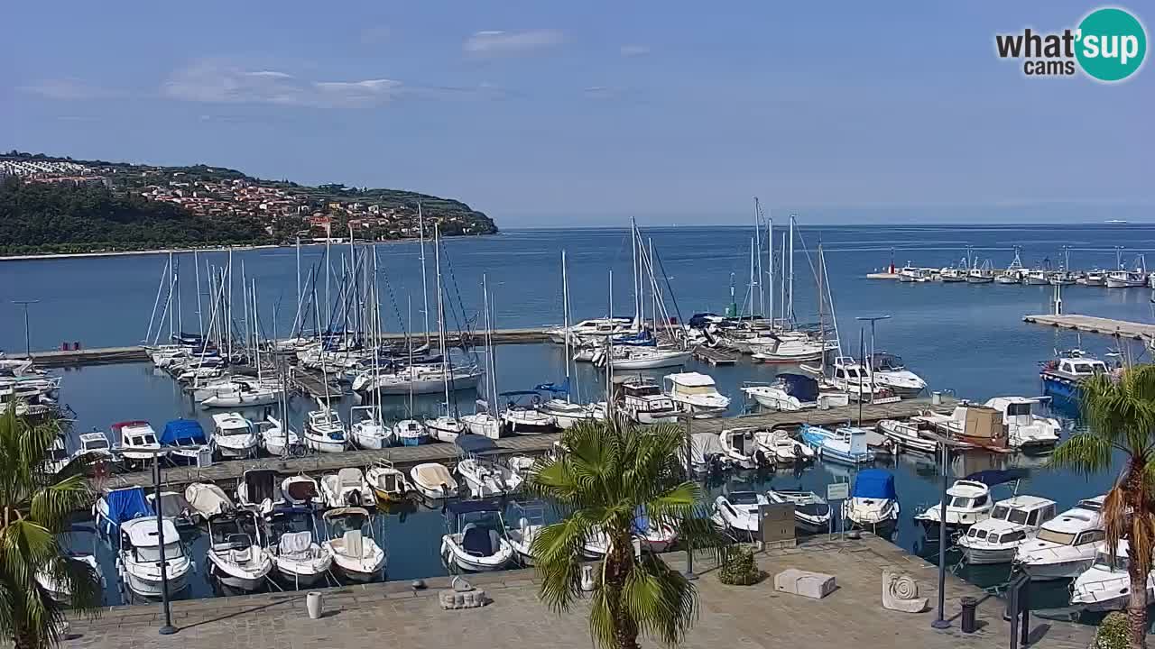 Web kamera Koper – marina i promenada – hotel Grand Koper