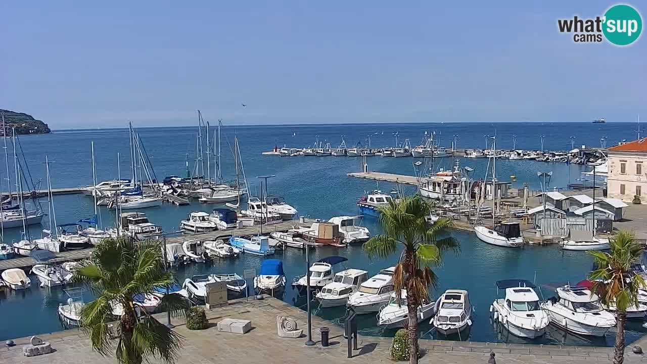 Camera en vivo Koper – puerto deportivo y paseo marítimo desde el Hotel Grand Koper