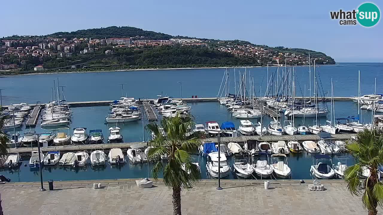 Spletna kamera Koper – Panorama na marino in promenado s Hotela Grand Koper