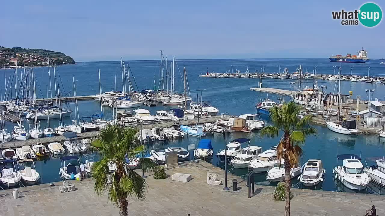 Webcam Capodistria – marina e lungo mare dall’Hotel Grand Koper