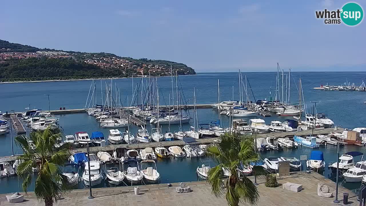 Web kamera Koper – marina i promenada – hotel Grand Koper