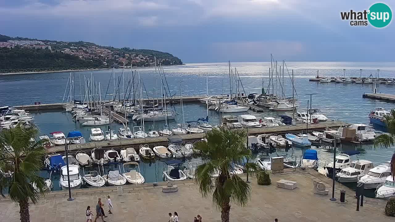 Web kamera Koper – marina i promenada – hotel Grand Koper