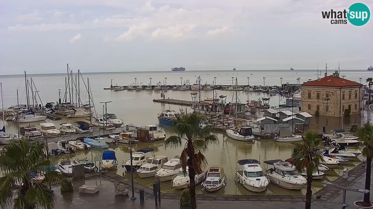 Webcam Koper – Panorama de la marina et de la promenade depuis le Grand Hotel Koper