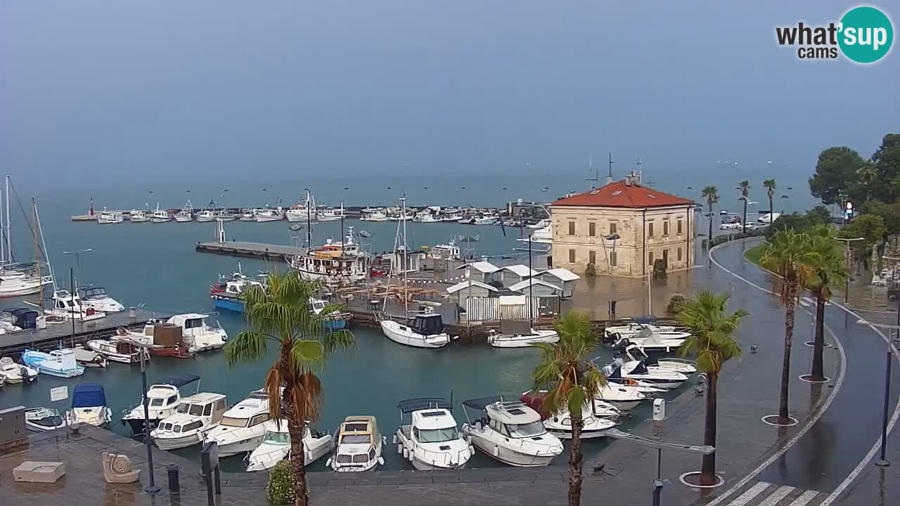Camera en vivo Koper – puerto deportivo y paseo marítimo desde el Hotel Grand Koper
