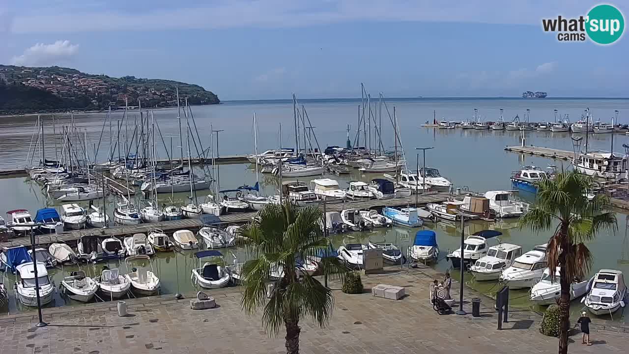 Camera en vivo Koper – puerto deportivo y paseo marítimo desde el Hotel Grand Koper