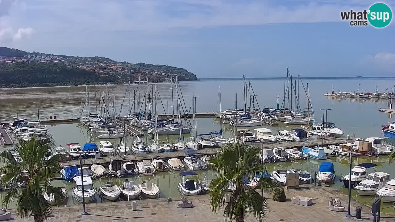 Camera en vivo Koper – puerto deportivo y paseo marítimo desde el Hotel Grand Koper