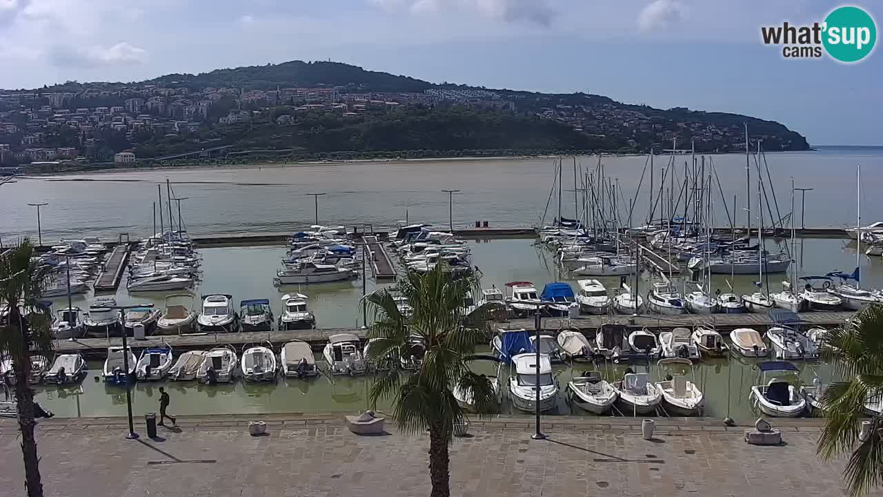 Camera en vivo Koper – puerto deportivo y paseo marítimo desde el Hotel Grand Koper