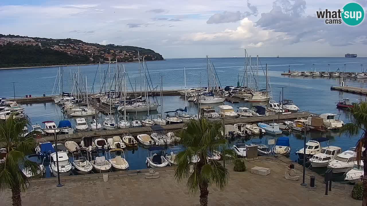 Camera en vivo Koper – puerto deportivo y paseo marítimo desde el Hotel Grand Koper