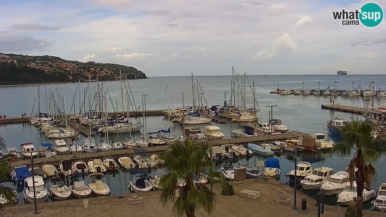 Camera en vivo Koper – puerto deportivo y paseo marítimo desde el Hotel Grand Koper