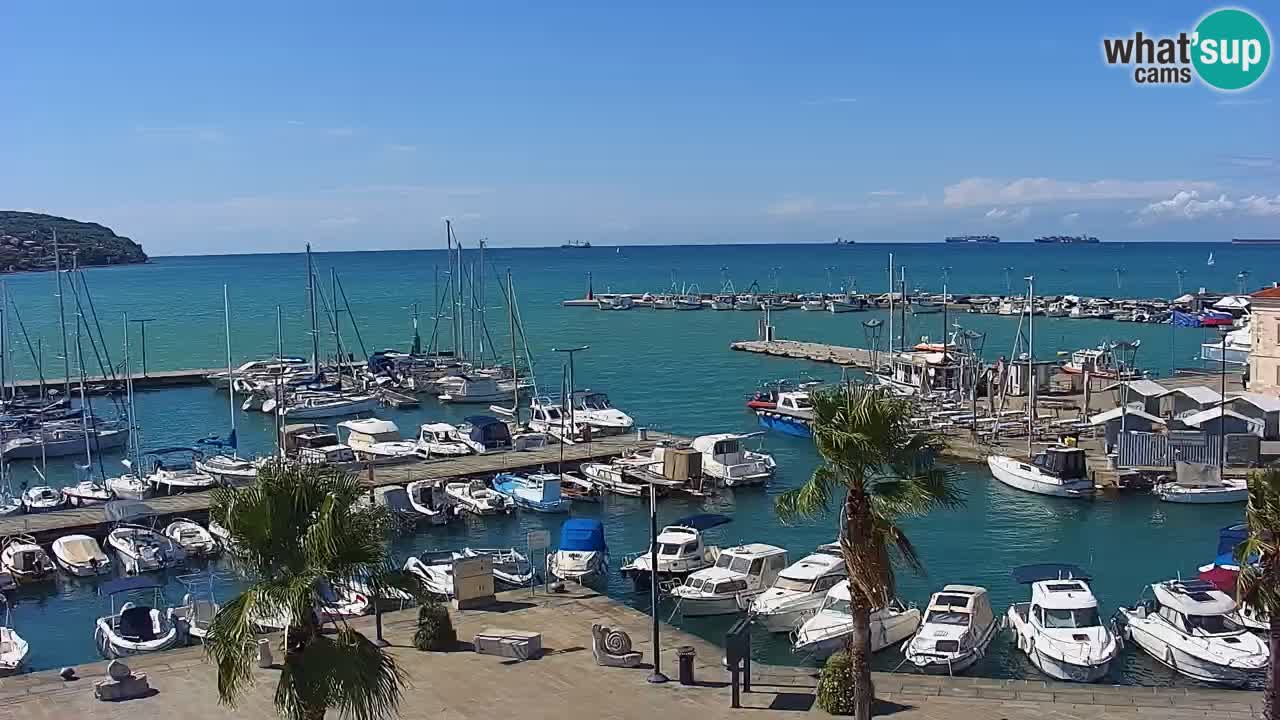 Web kamera Koper – marina i promenada – hotel Grand Koper