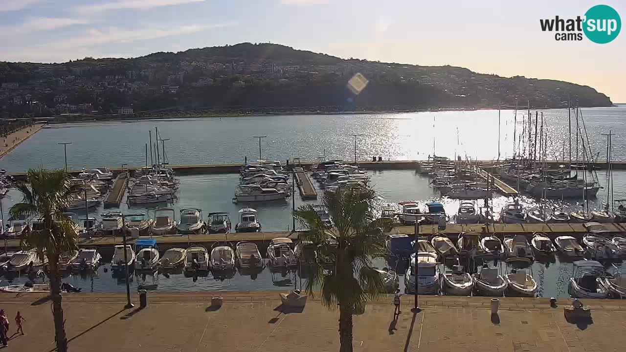 Webcam Koper – Panorama of the marina and promenade from the Grand Hotel Koper